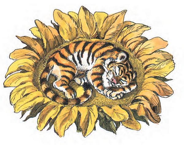 ������ ��� ������ ������